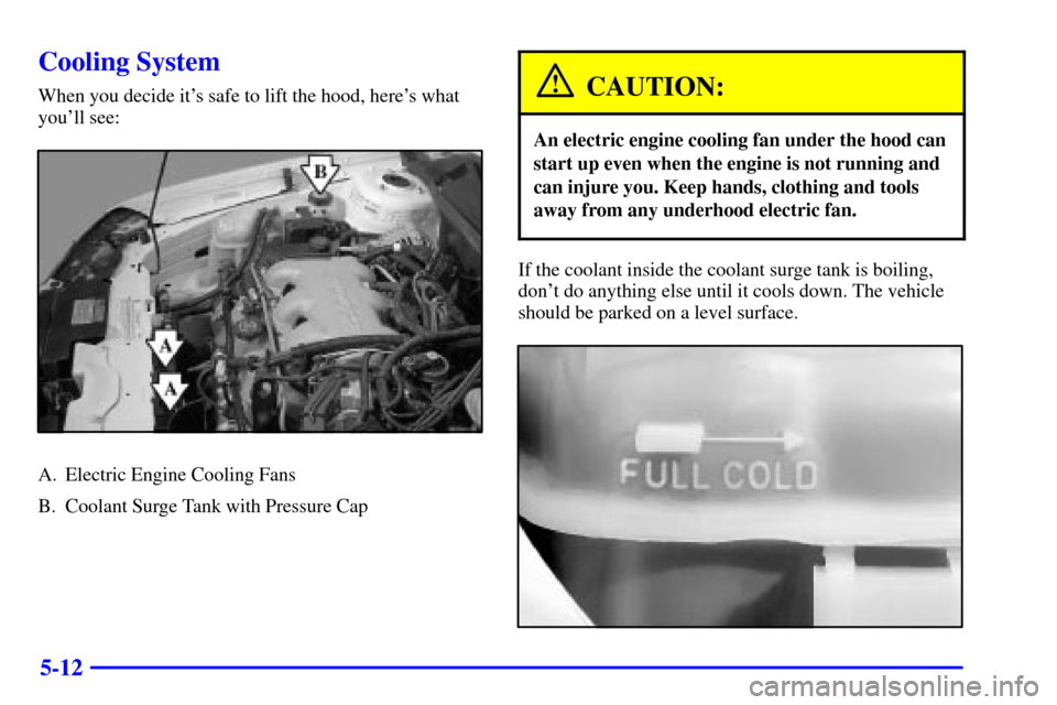 CHEVROLET MALIBU 2002 5.G Owners Manual 5-12
Cooling System
When you decide its safe to lift the hood, heres what
youll see:
A. Electric Engine Cooling Fans
B. Coolant Surge Tank with Pressure Cap
CAUTION:
An electric engine cooling fan CHEVROLET MALIBU 2002 5.G Owners Manual 5-12
Cooling System
When you decide its safe to lift the hood, heres what
youll see:
A. Electric Engine Cooling Fans
B. Coolant Surge Tank with Pressure Cap
CAUTION:
An electric engine cooling fan