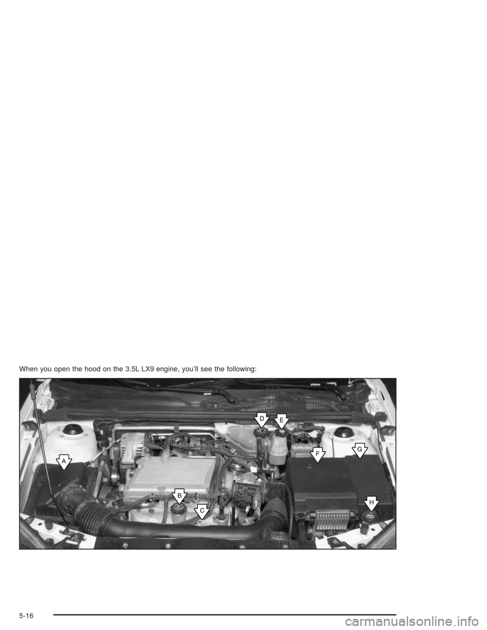 CHEVROLET MALIBU 2004 5.G Owners Manual When you open the hood on the 3.5L LX9 engine, you’ll see the following:
5-16 