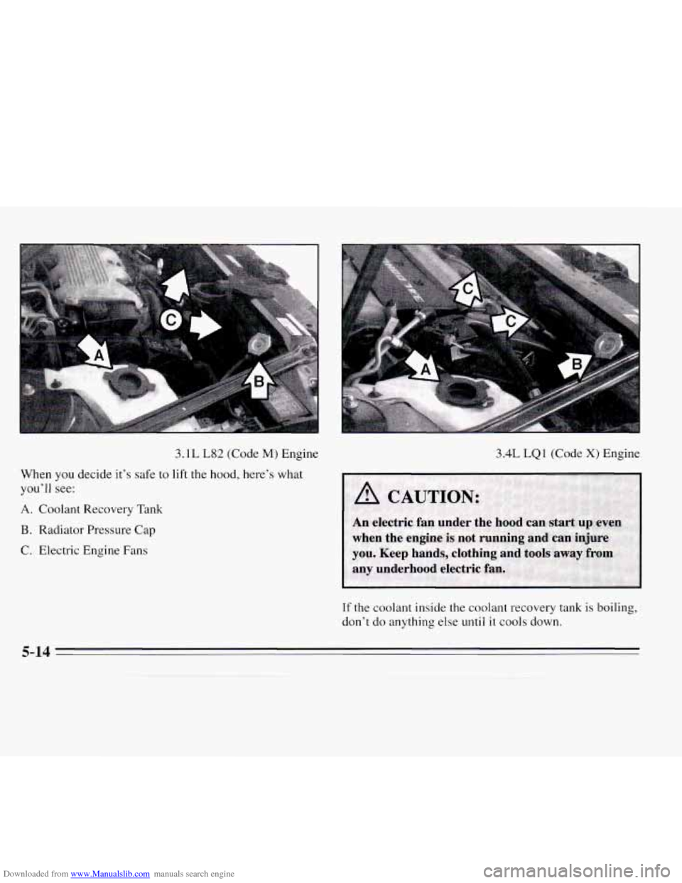 CHEVROLET MONTE CARLO 1995 5.G Owners Manual Downloaded from www.Manualslib.com manuals search engine 3.1L L82 (Code M) Engine 3.4L LQ 1 (Code X) Engine
When you decide it’s safe to lift the hood, here’s what
you’ll see:
A. Coolant CHEVROLET MONTE CARLO 1995 5.G Owners Manual Downloaded from www.Manualslib.com manuals search engine 3.1L L82 (Code M) Engine 3.4L LQ 1 (Code X) Engine
When you decide it’s safe to lift the hood, here’s what
you’ll see:
A. Coolant