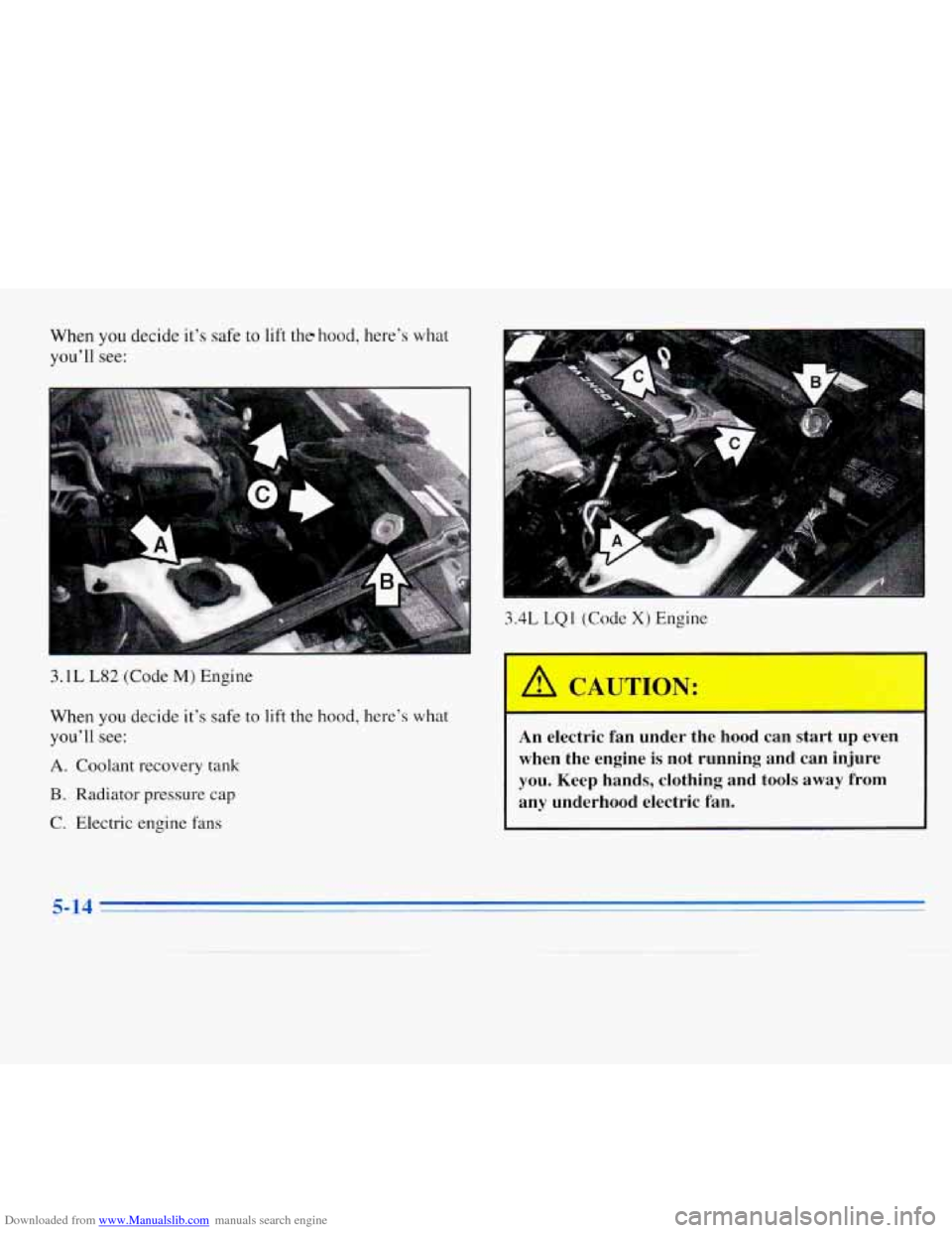 CHEVROLET MONTE CARLO 1996 5.G Owners Manual Downloaded from www.Manualslib.com manuals search engine When you decide  it’s safe to lift the hood, here’s what 
you’ll  see: 
3.1L L82 (Code M) Engine 
When  you decide  it’s safe  to 
lift