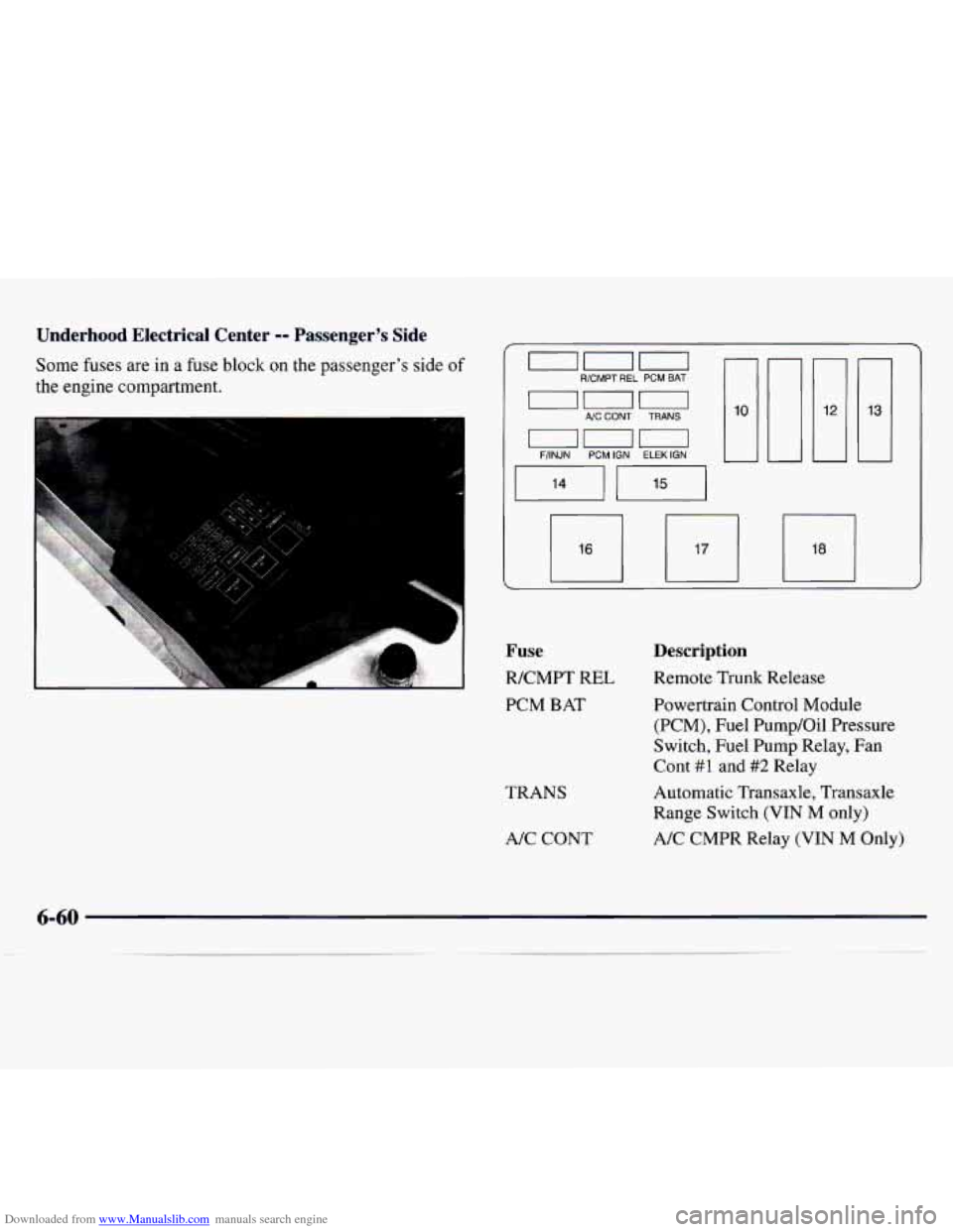 CHEVROLET MONTE CARLO 1997 5.G Owners Manual Downloaded from www.Manualslib.com manuals search engine Underhood Electrical Center -- Passenger’s Side
Some fuses are in a fuse block on the passenger’s side of
the engine compartment. uuu CHEVROLET MONTE CARLO 1997 5.G Owners Manual Downloaded from www.Manualslib.com manuals search engine Underhood Electrical Center -- Passenger’s Side
Some fuses are in a fuse block on the passenger’s side of
the engine compartment. uuu