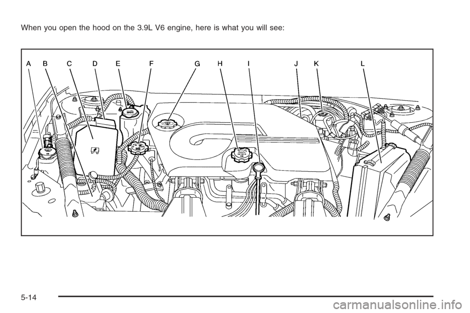 CHEVROLET MONTE CARLO 2006 6.G Owners Manual When you open the hood on the 3.9L V6 engine, here is what you will see:
5-14 