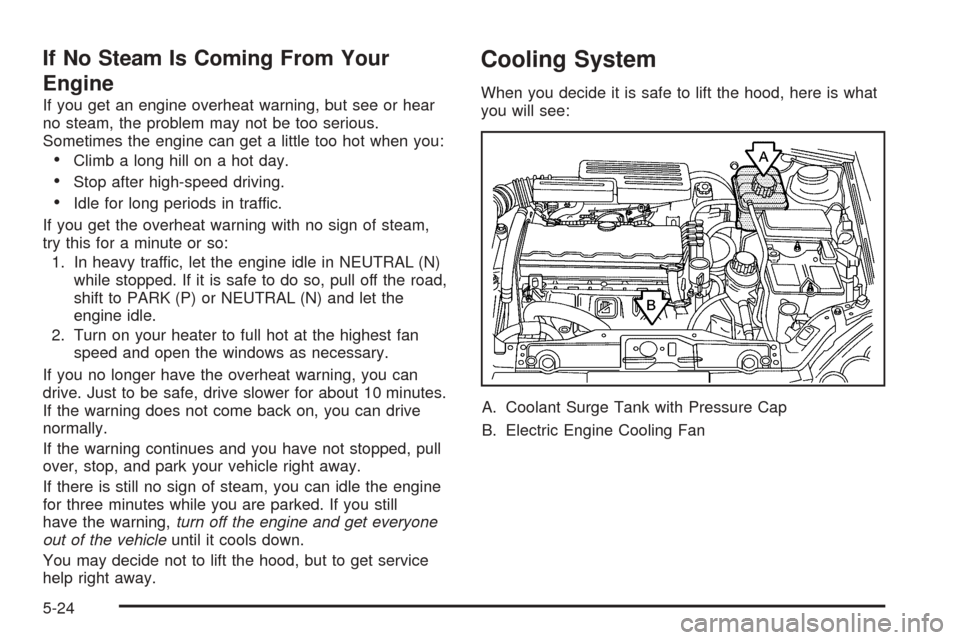 CHEVROLET OPTRA 2005 1.G Owners Manual If No Steam Is Coming From Your
Engine
If you get an engine overheat warning, but see or hear
no steam, the problem may not be too serious.
Sometimes the engine can get a little too hot when you:
•C