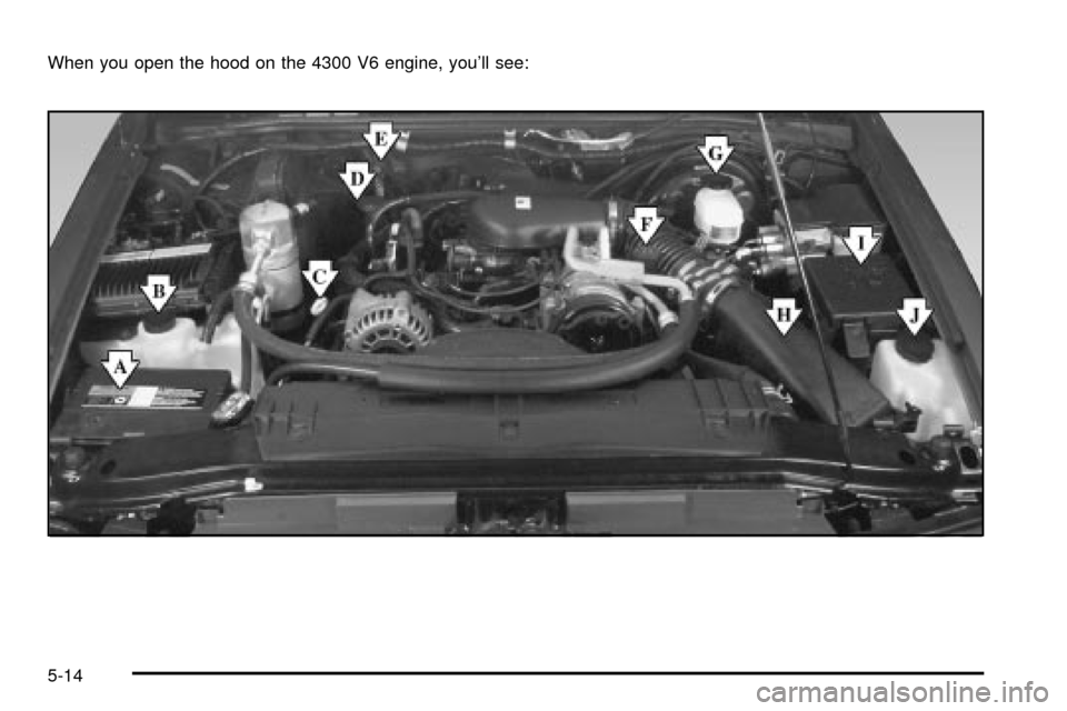 CHEVROLET S10 2003 2.G Owners Manual When you open the hood on the 4300 V6 engine, youll see:
5-14 