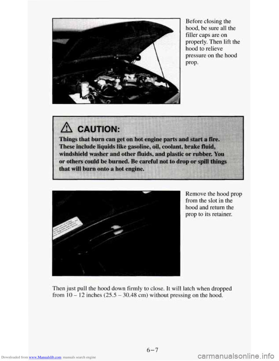 CHEVROLET S10 1995 2.G Owners Manual Downloaded from www.Manualslib.com manuals search engine c- bI
Before closing the
hood, be sure all the
filler caps are
on
properly. Then lift the
hood to relieve
pressure on the hood
P CHEVROLET S10 1995 2.G Owners Manual Downloaded from www.Manualslib.com manuals search engine c- bI
Before closing the
hood, be sure all the
filler caps are
on
properly. Then lift the
hood to relieve
pressure on the hood
P