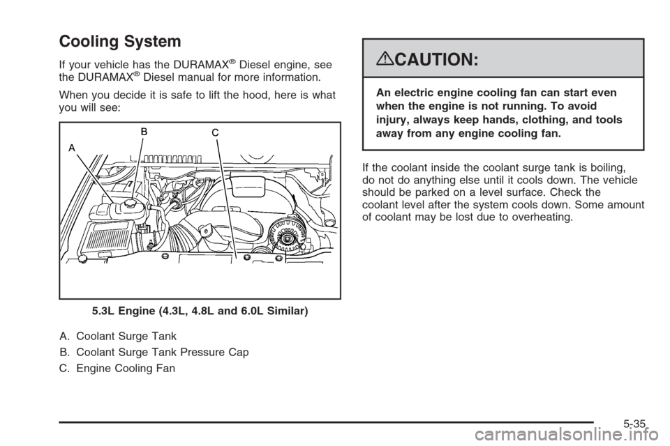 CHEVROLET SILVERADO 2008 2.G Owners Manual Cooling System
If your vehicle has the DURAMAX®Diesel engine, see
the DURAMAX®Diesel manual for more information.
When you decide it is safe to lift the hood, here is what
you will see:
A. Coolant S