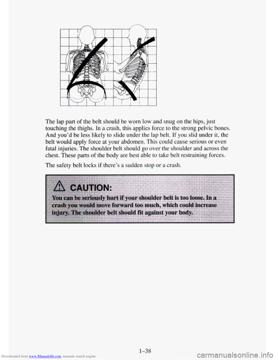 CHEVROLET TAHOE 1995 1.G Workshop Manual Downloaded from www.Manualslib.com manuals search engine The lap part of the belt should be worn low and snug on the hips, just
touching the thighs. In
a crash, this applies force to the stro CHEVROLET TAHOE 1995 1.G Workshop Manual Downloaded from www.Manualslib.com manuals search engine The lap part of the belt should be worn low and snug on the hips, just
touching the thighs. In
a crash, this applies force to the stro