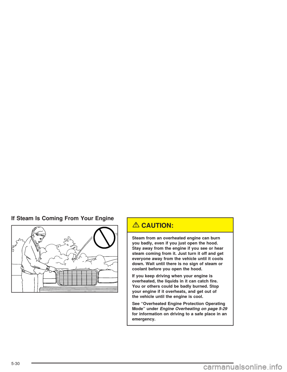 CHEVROLET TAHOE 2004 2.G Owners Manual If Steam Is Coming From Your Engine
{CAUTION:
Steam from an overheated engine can burn
you badly, even if you just open the hood.
Stay away from the engine if you see or hear
steam coming from it. Jus