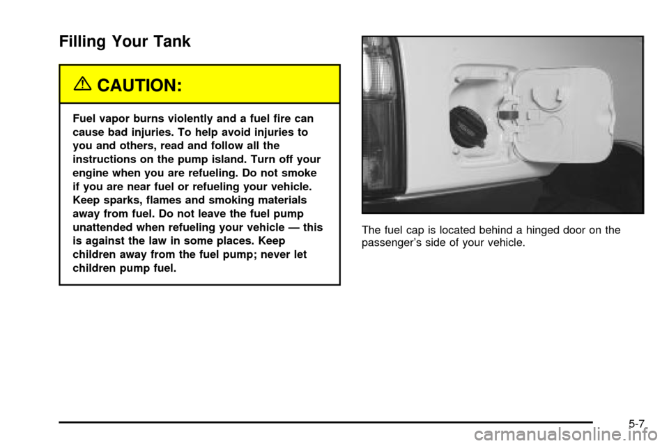 CHEVROLET TRACKER 2004 2.G Owners Manual Filling Your Tank
{CAUTION:
Fuel vapor burns violently and a fuel ®re can
cause bad injuries. To help avoid injuries to
you and others, read and follow all the
instructions on the pump island. Turn o