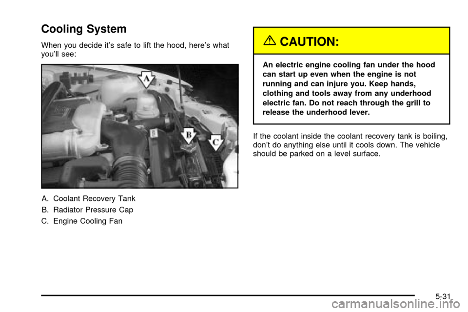 CHEVROLET TRACKER 2004 2.G Owners Manual Cooling System
When you decide its safe to lift the hood, heres what
youll see:
A. Coolant Recovery Tank
B. Radiator Pressure Cap
C. Engine Cooling Fan{CAUTION:
An electric engine cooling fan under