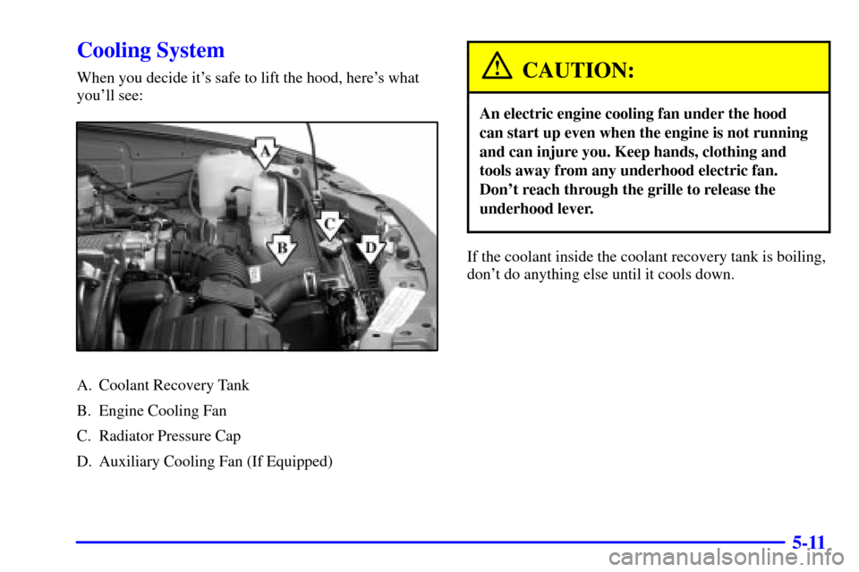 CHEVROLET TRACKER 2001 2.G Owners Manual 5-11
Cooling System
When you decide its safe to lift the hood, heres what
youll see:
A. Coolant Recovery Tank
B. Engine Cooling Fan
C. Radiator Pressure Cap
D. Auxiliary Cooling Fan (If Equipped)
C