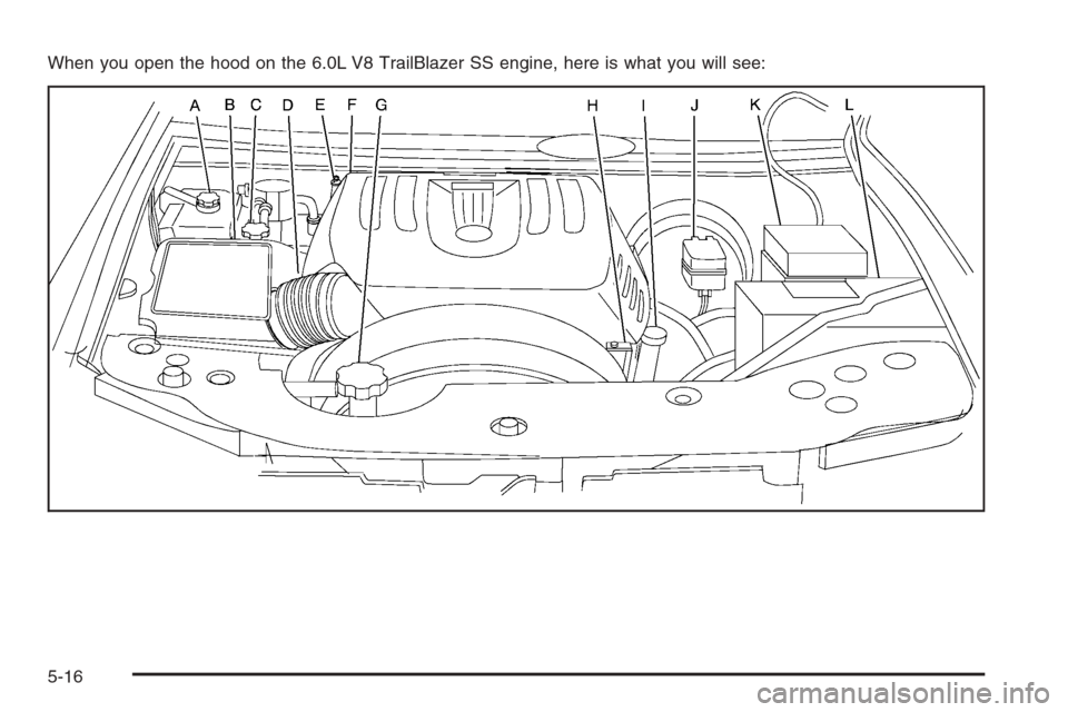 CHEVROLET TRAIL BLAZER 2006 1.G Owners Manual When you open the hood on the 6.0L V8 TrailBlazer SS engine, here is what you will see:
5-16 