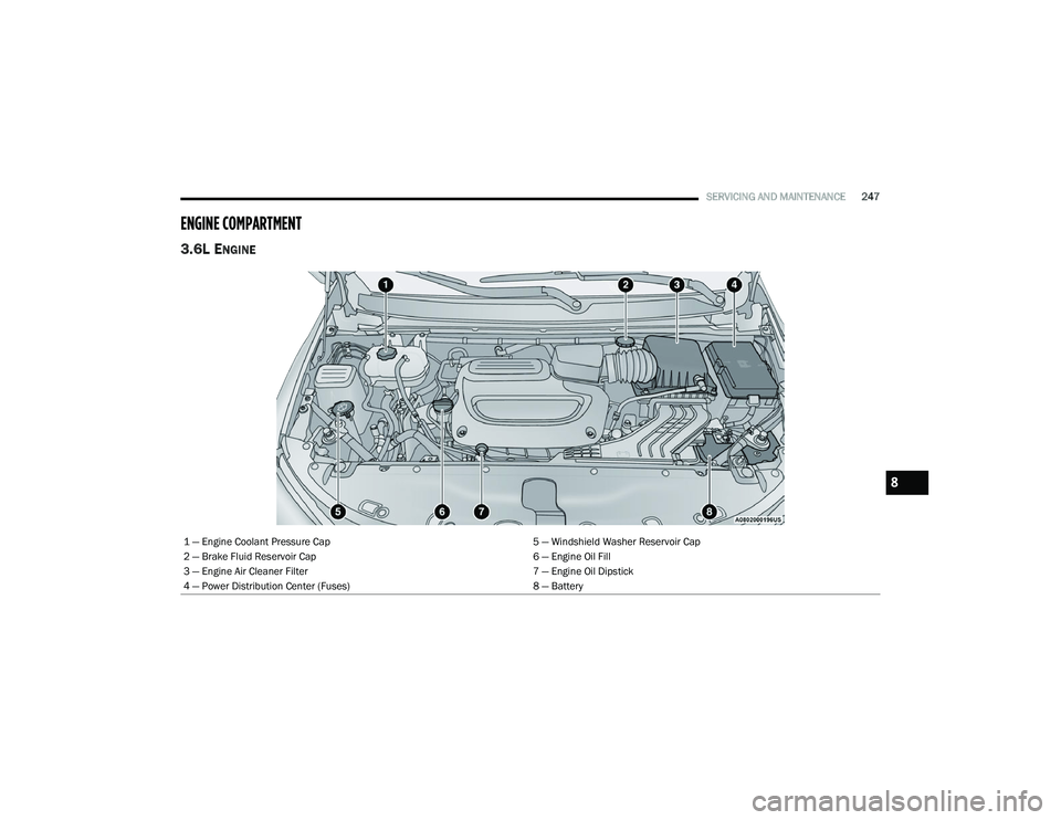 CHRYSLER VOYAGER 2022  Owners Manual 
SERVICING AND MAINTENANCE247
ENGINE COMPARTMENT  
3.6L ENGINE
1 — Engine Coolant Pressure Cap 5 — Windshield Washer Reservoir Cap
2 — Brake Fluid Reservoir Cap 6 — Engine Oil Fill
3 — Engin