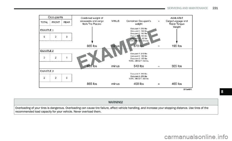 CHRYSLER 300 2021  Owners Manual 
   SERVICING AND MAINTENANCE       231
WARNING! 
Overloading of your tires is dangerous. Overloading can cause tire failure, affect vehicle handling, and increase your stopping distance. Use tires of