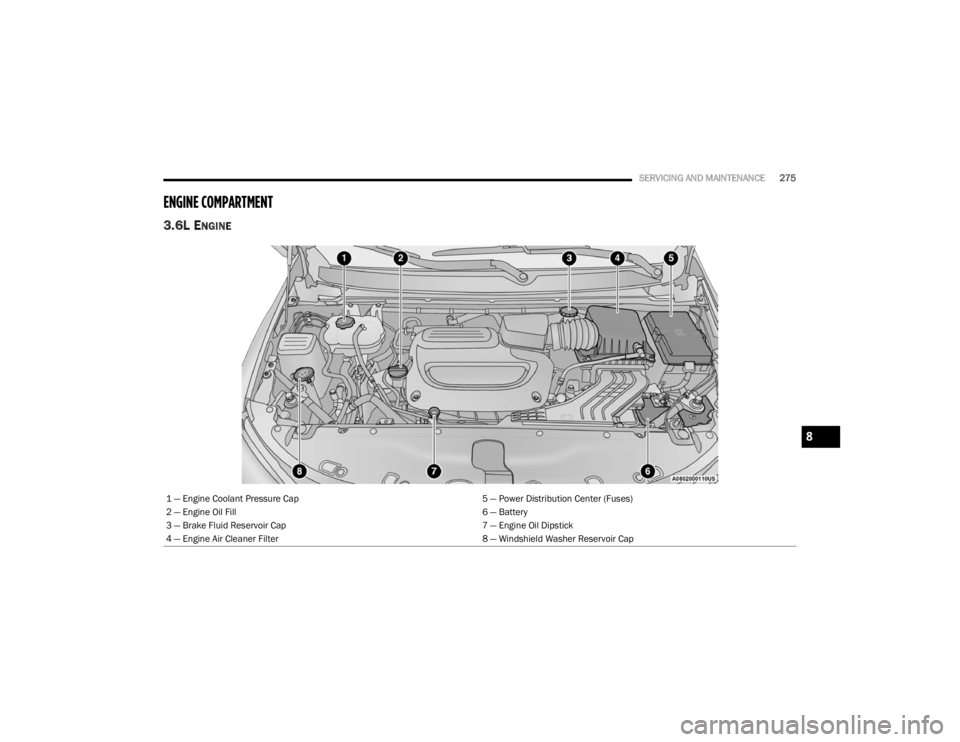 CHRYSLER VOYAGER 2021  Owners Manual 
SERVICING AND MAINTENANCE275
ENGINE COMPARTMENT  
3.6L ENGINE
1 — Engine Coolant Pressure Cap 5 — Power Distribution Center (Fuses)
2 — Engine Oil Fill 6 — Battery
3 — Brake Fluid Reservoir