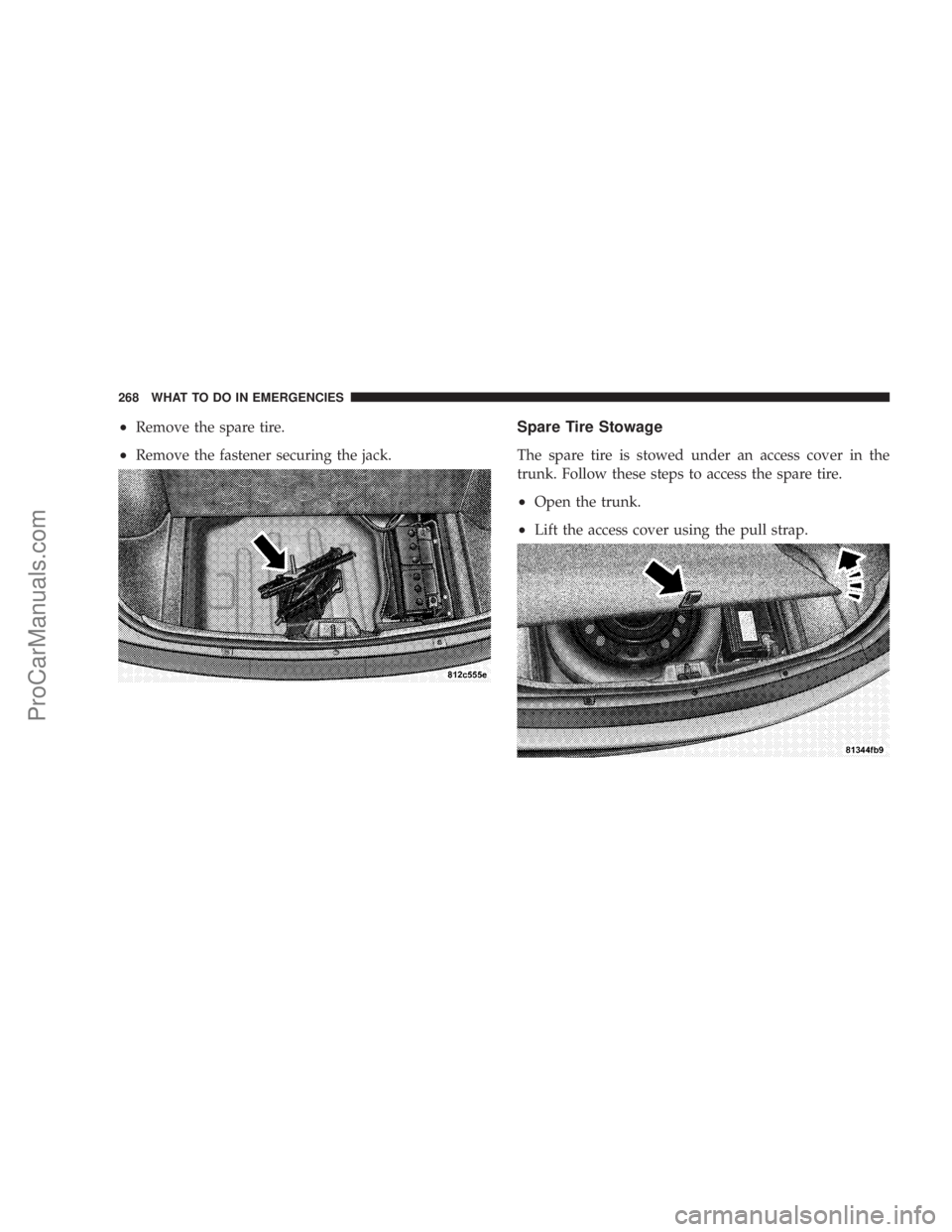 CHRYSLER 300 LX 2005  Owners Manual ²Remove the spare tire.
²Remove the fastener securing the jack.
Spare Tire Stowage
The spare tire is stowed under an access cover in the
trunk. Follow these steps to access the spare tire.
²Open th