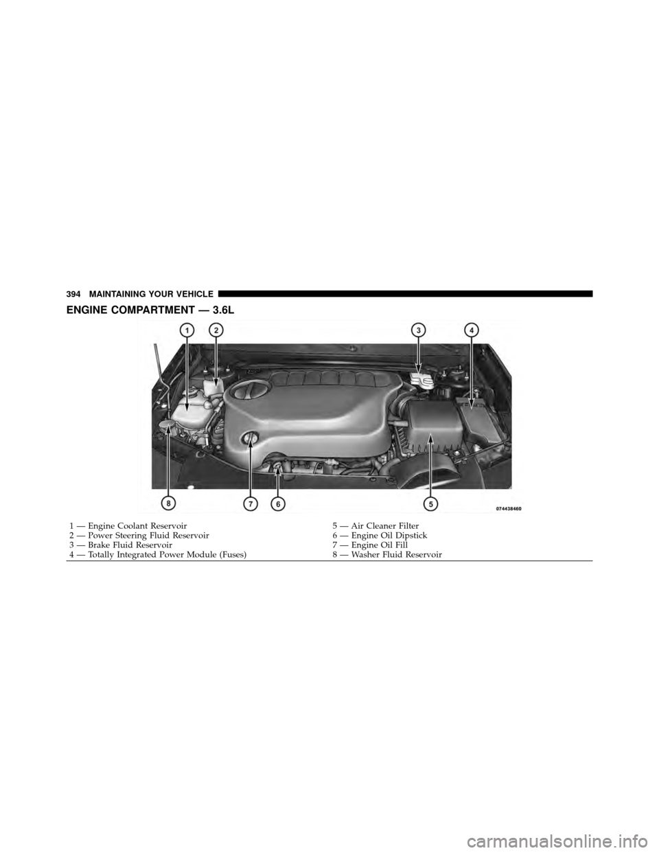 CHRYSLER 200 2011 1.G Owners Manual ENGINE COMPARTMENT — 3.6L
1 — Engine Coolant Reservoir5 — Air Cleaner Filter
2 — Power Steering Fluid Reservoir 6 — Engine Oil Dipstick
3 — Brake Fluid Reservoir 7 — Engine Oil Fill
4 