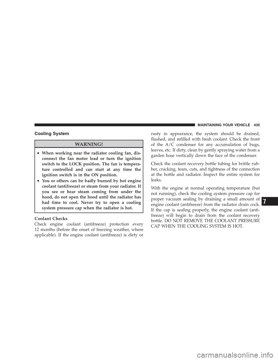 CHRYSLER 300 2009 1.G Owners Manual Cooling System
WARNING!
•When working near the radiator cooling fan, dis-
connect the fan motor lead or turn the ignition
switch to the LOCK position. The fan is tempera-
ture controlled and can sta
