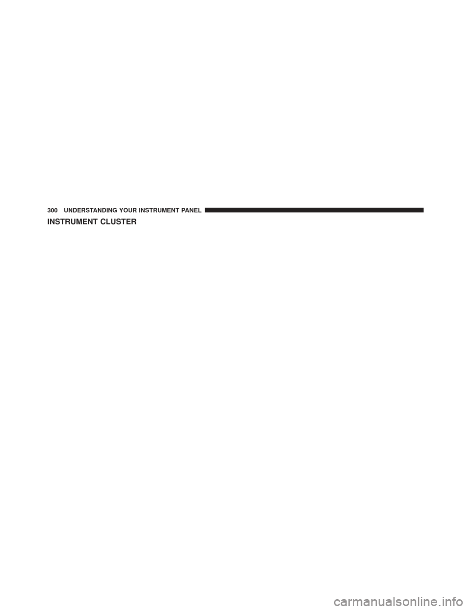 CHRYSLER 300 2013 2.G Owners Manual INSTRUMENT CLUSTER
300 UNDERSTANDING YOUR INSTRUMENT PANEL 