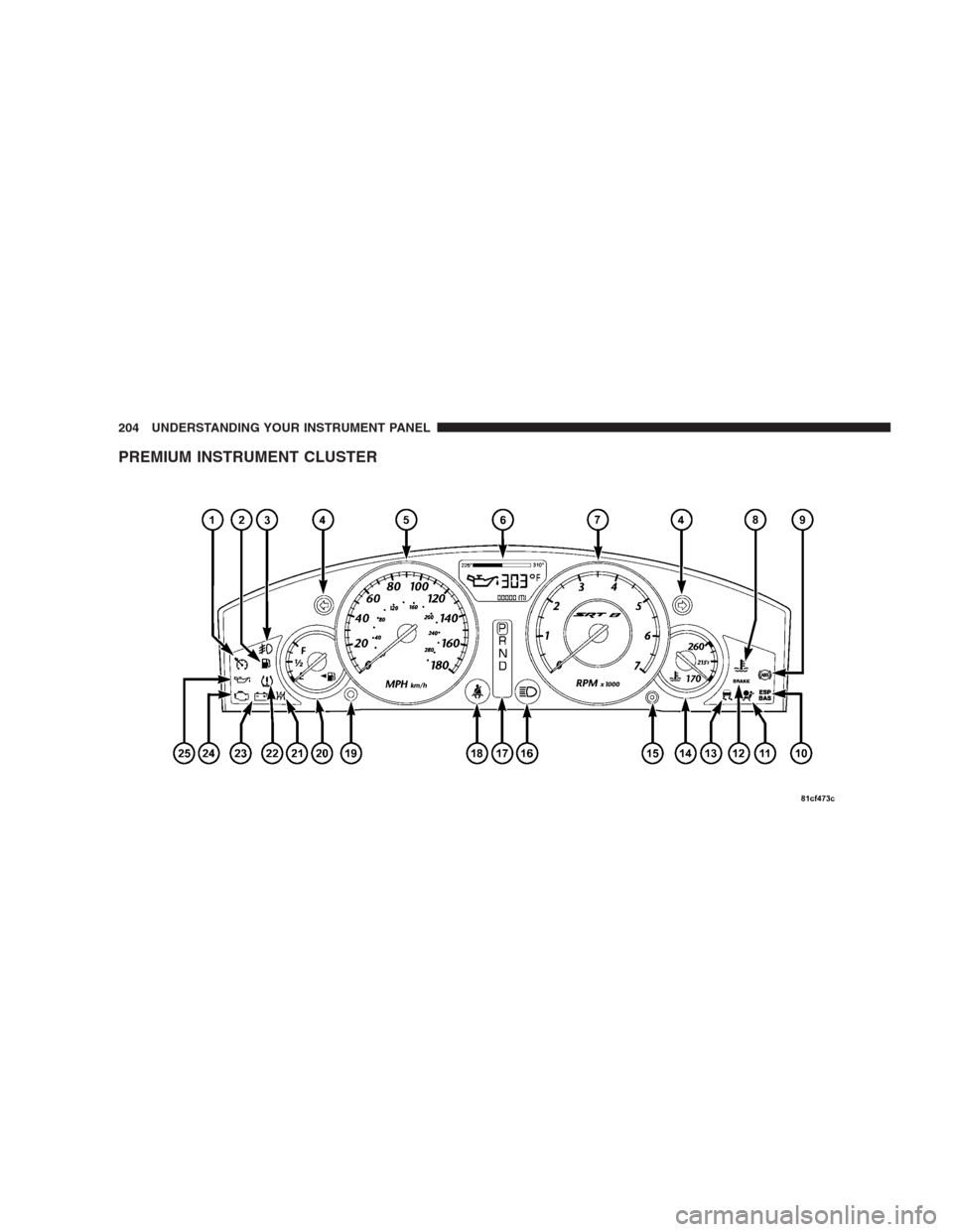 CHRYSLER 300 SRT 2009 1.G Owners Manual PREMIUM INSTRUMENT CLUSTER
204 UNDERSTANDING YOUR INSTRUMENT PANEL 