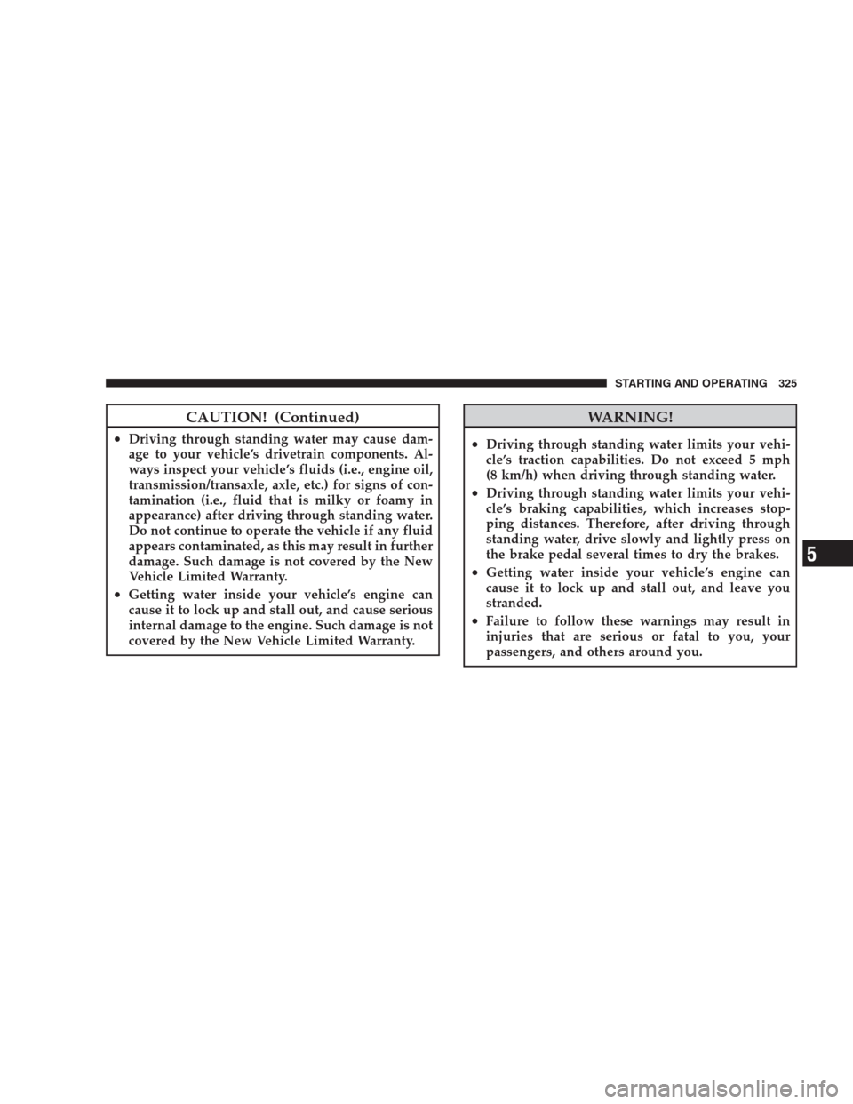 CHRYSLER 300 SRT 2009 1.G Owners Manual CAUTION! (Continued)
•Driving through standing water may cause dam-
age to your vehicle’s drivetrain components. Al-
ways inspect your vehicle’s fluids (i.e., engine oil,
transmission/transaxle,