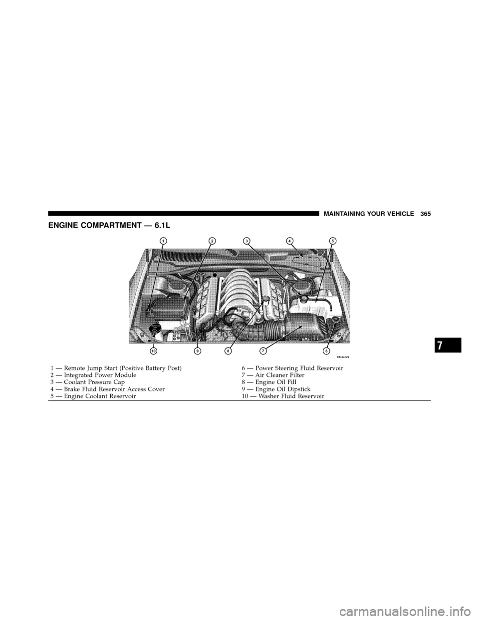 CHRYSLER 300 SRT 2010 1.G Owners Manual ENGINE COMPARTMENT — 6.1L
1 — Remote Jump Start (Positive Battery Post)6 — Power Steering Fluid Reservoir
2 — Integrated Power Module 7 — Air Cleaner Filter
3 — Coolant Pressure Cap 8 — 