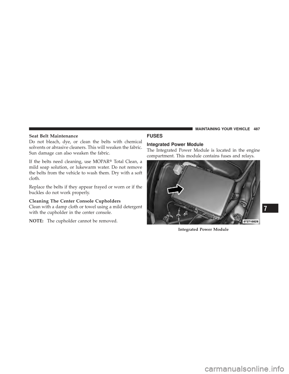 CHRYSLER 300 SRT 2012 2.G Owners Manual Seat Belt Maintenance
Do not bleach, dye, or clean the belts with chemical
solvents or abrasive cleaners. This will weaken the fabric.
Sun damage can also weaken the fabric.
If the belts need cleaning