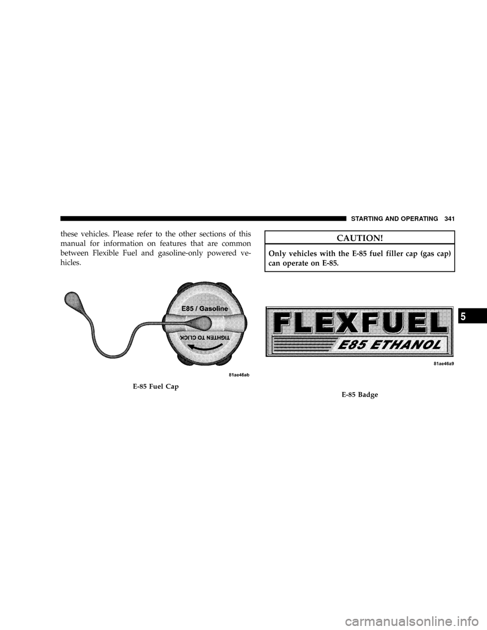 CHRYSLER ASPEN 2009 2.G Owners Manual these vehicles. Please refer to the other sections of this
manual for information on features that are common
between Flexible Fuel and gasoline-only powered ve-
hicles.CAUTION!
Only vehicles with the CHRYSLER ASPEN 2009 2.G Owners Manual these vehicles. Please refer to the other sections of this
manual for information on features that are common
between Flexible Fuel and gasoline-only powered ve-
hicles.CAUTION!
Only vehicles with the