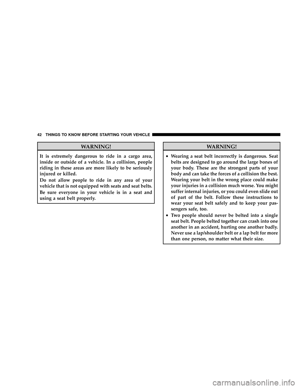 CHRYSLER ASPEN 2009 2.G Service Manual WARNING!
It is extremely dangerous to ride in a cargo area,
inside or outside of a vehicle. In a collision, people
riding in these areas are more likely to be seriously
injured or killed.
Do not allow