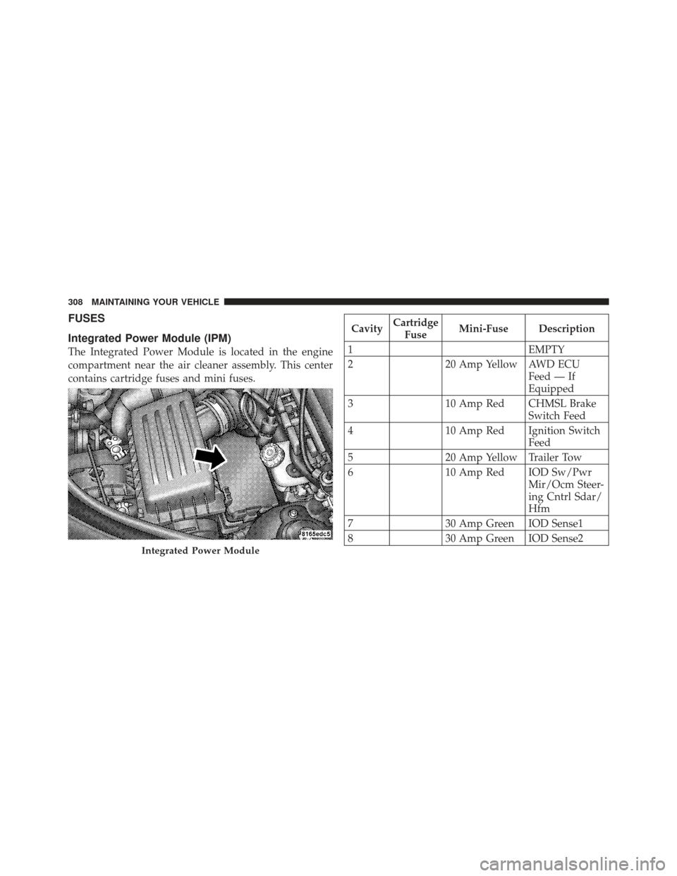 CHRYSLER PT CRUISER 2010 1.G Owners Manual FUSES
Integrated Power Module (IPM)
The Integrated Power Module is located in the engine
compartment near the air cleaner assembly. This center
contains cartridge fuses and mini fuses.
CavityCartridge