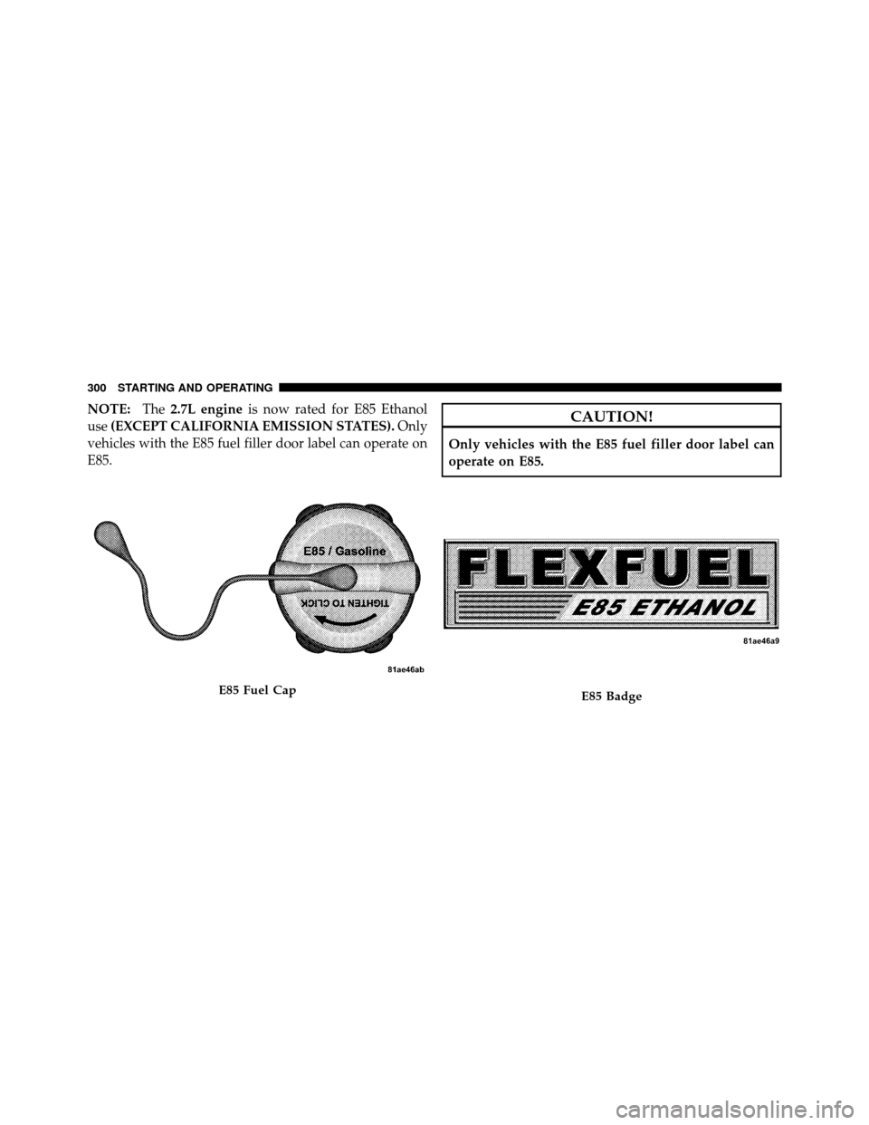 CHRYSLER SEBRING 2010 3.G Owners Manual NOTE:The2.7L engine is now rated for E85 Ethanol
use (EXCEPT CALIFORNIA EMISSION STATES). Only
vehicles with the E85 fuel filler door label can operate on
E85.CAUTION!
Only vehicles with the E85 fuel CHRYSLER SEBRING 2010 3.G Owners Manual NOTE:The2.7L engine is now rated for E85 Ethanol
use (EXCEPT CALIFORNIA EMISSION STATES). Only
vehicles with the E85 fuel filler door label can operate on
E85.CAUTION!
Only vehicles with the E85 fuel