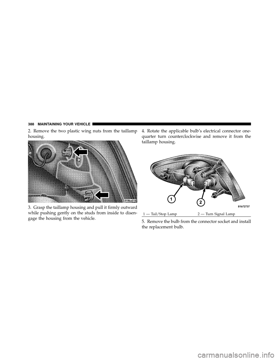 CHRYSLER SEBRING 2010 3.G Owners Manual 2. Remove the two plastic wing nuts from the taillamp
housing.
3. Grasp the taillamp housing and pull it firmly outward
while pushing gently on the studs from inside to disen-
gage the housing from th