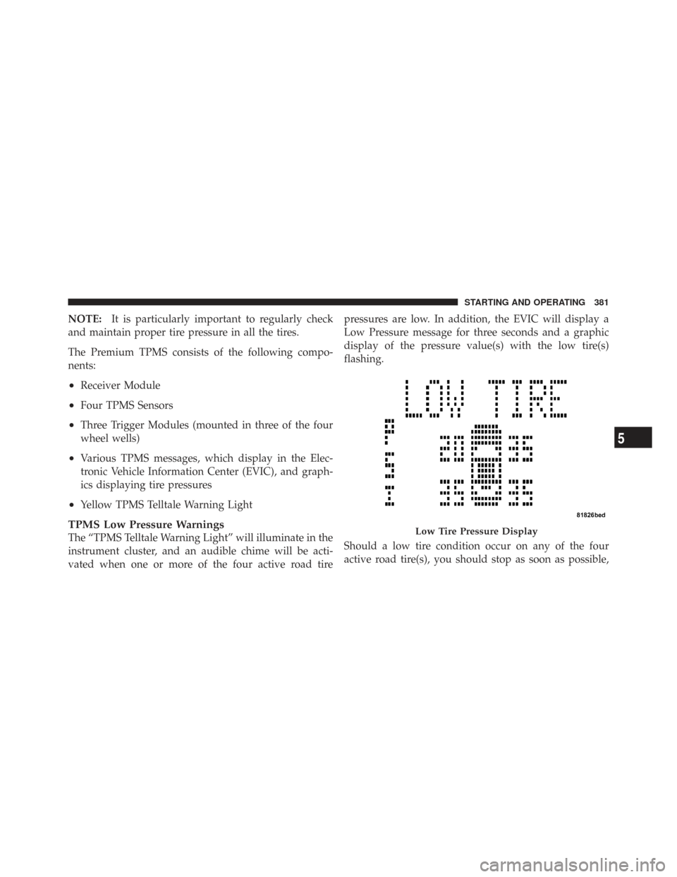 CHRYSLER TOWN AND COUNTRY 2009 5.G Owners Manual NOTE:It is particularly important to regularly check
and maintain proper tire pressure in all the tires.
The Premium TPMS consists of the following compo-
nents:
•Receiver Module
•Four TPMS Sensor