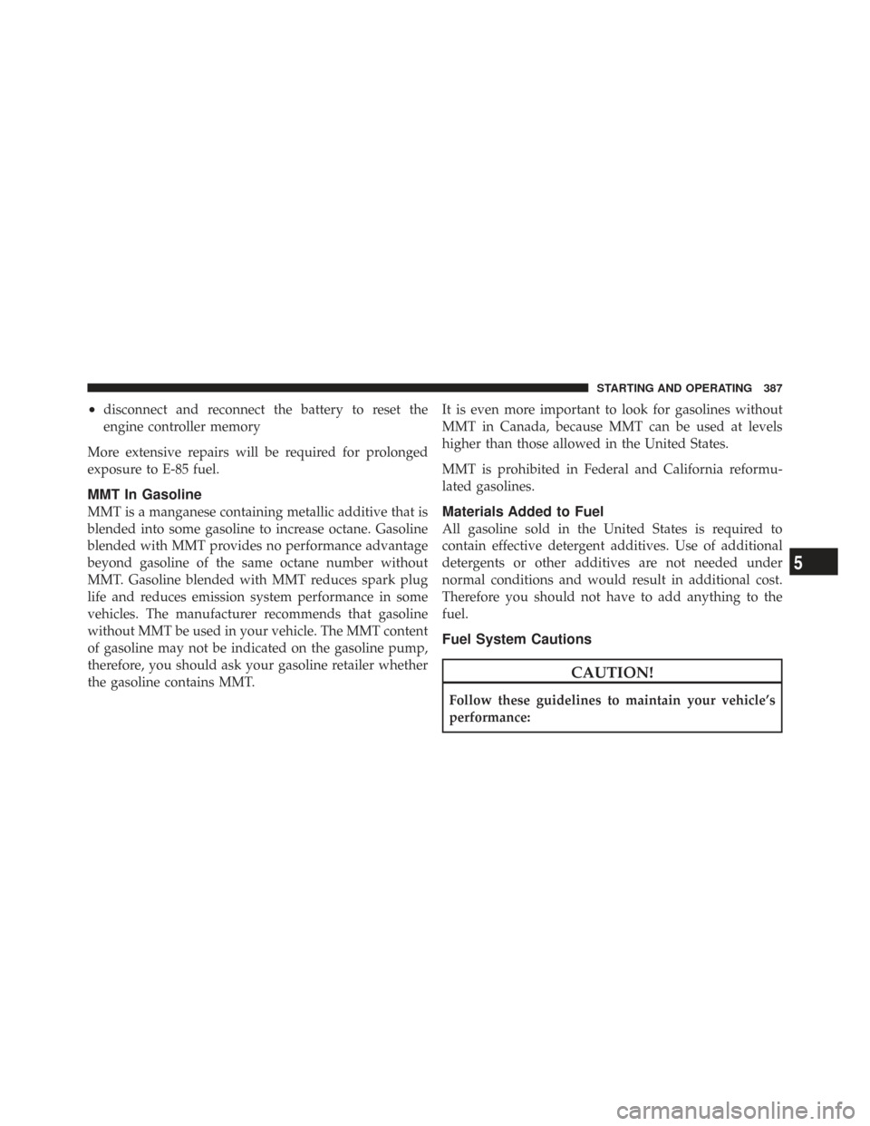 CHRYSLER TOWN AND COUNTRY 2009 5.G Owners Manual •disconnect and reconnect the battery to reset the
engine controller memory
More extensive repairs will be required for prolonged
exposure to E-85 fuel.
MMT In Gasoline
MMT is a manganese containing