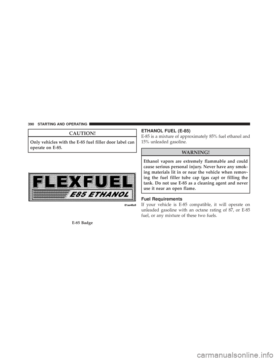 CHRYSLER TOWN AND COUNTRY 2009 5.G Owners Manual CAUTION!
Only vehicles with the E-85 fuel filler door label can
operate on E-85.
ETHANOL FUEL (E-85)
E-85 is a mixture of approximately 85% fuel ethanol and
15% unleaded gasoline.
WARNING!
Ethanol vap