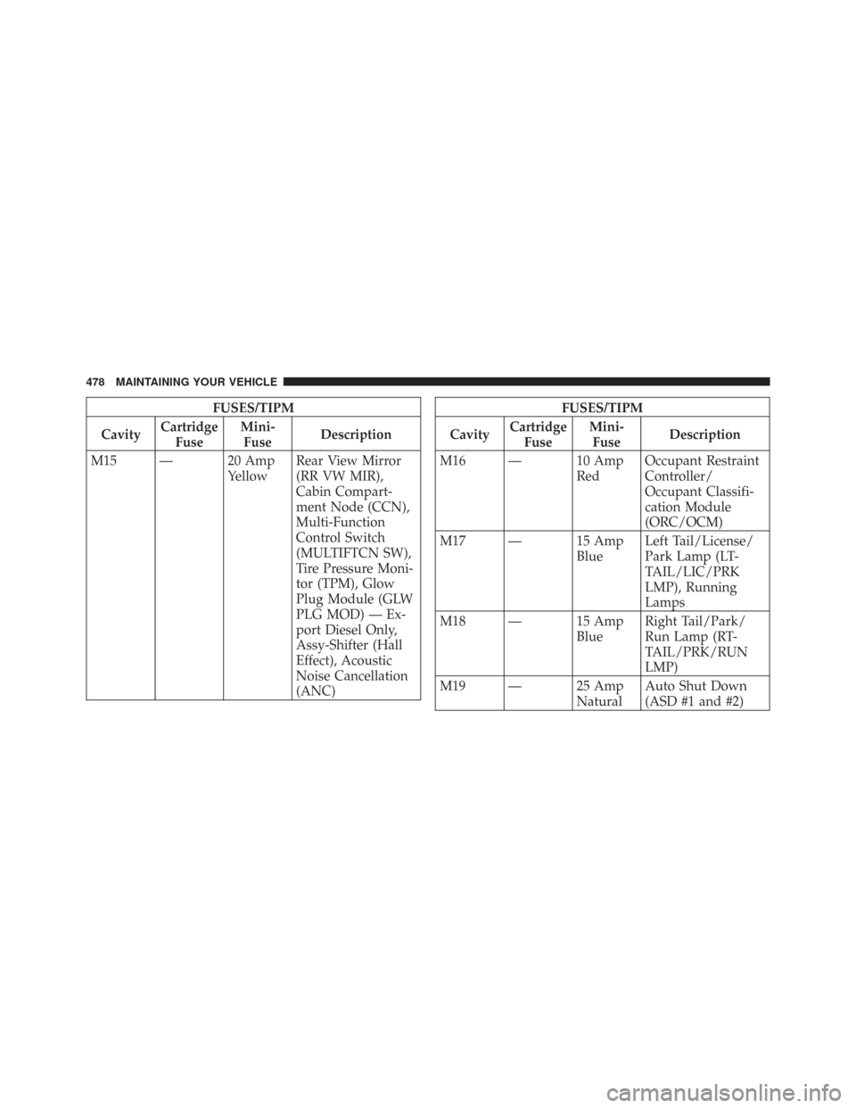 CHRYSLER TOWN AND COUNTRY 2009 5.G Owners Manual FUSES/TIPM
Cavity Cartridge
Fuse Mini-
Fuse Description
M15 — 20 Amp YellowRear View Mirror
(RR VW MIR),
Cabin Compart-
ment Node (CCN),
Multi-Function
Control Switch
(MULTIFTCN SW),
Tire Pressure M