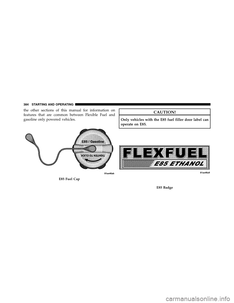CHRYSLER TOWN AND COUNTRY 2010 5.G Owners Manual the other sections of this manual for information on
features that are common between Flexible Fuel and
gasoline only powered vehicles.CAUTION!
Only vehicles with the E85 fuel filler door label can
op