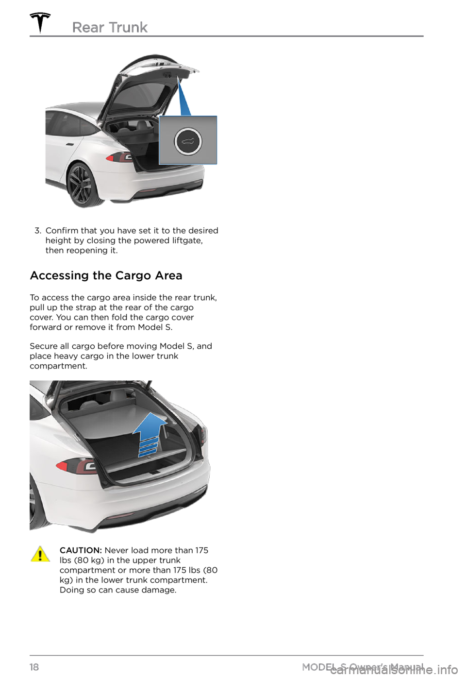 TESLA MODEL S 2021  Owner´s Manual 3. 
Confirm that you have set it to the desired 
height by closing the powered liftgate, 
then reopening it.
Accessing the Cargo Area
To access the cargo area inside the rear trunk, 
pull up the strap