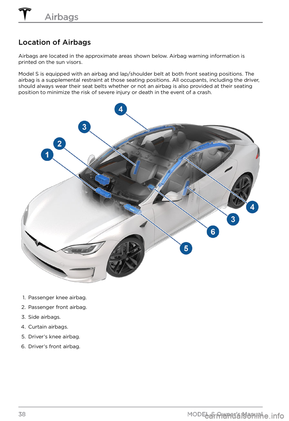 TESLA MODEL S 2021  Owner´s Manual Location of Airbags
Airbags are located in the approximate areas shown below. Airbag warning information is 
printed on the sun visors.
Model S is equipped with an airbag and lap/shoulder belt at both
