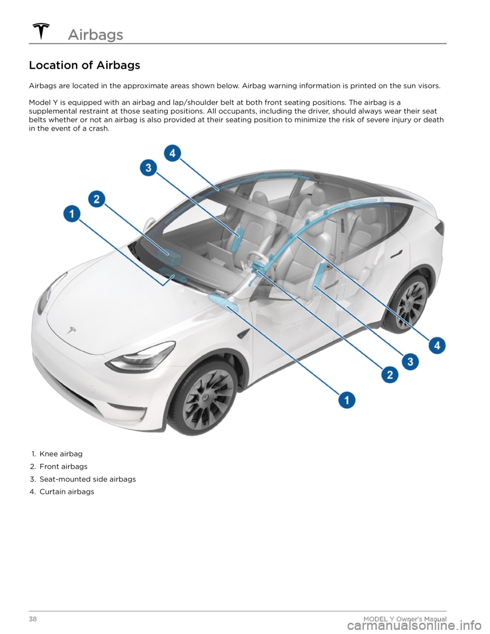TESLA MODEL Y 2022  Owner´s Manual Location of Airbags
Airbags are located in the approximate areas shown below. Airbag warning information is printed on the sun visors.
Model Y is equipped with an airbag and lap/shoulder belt at both 