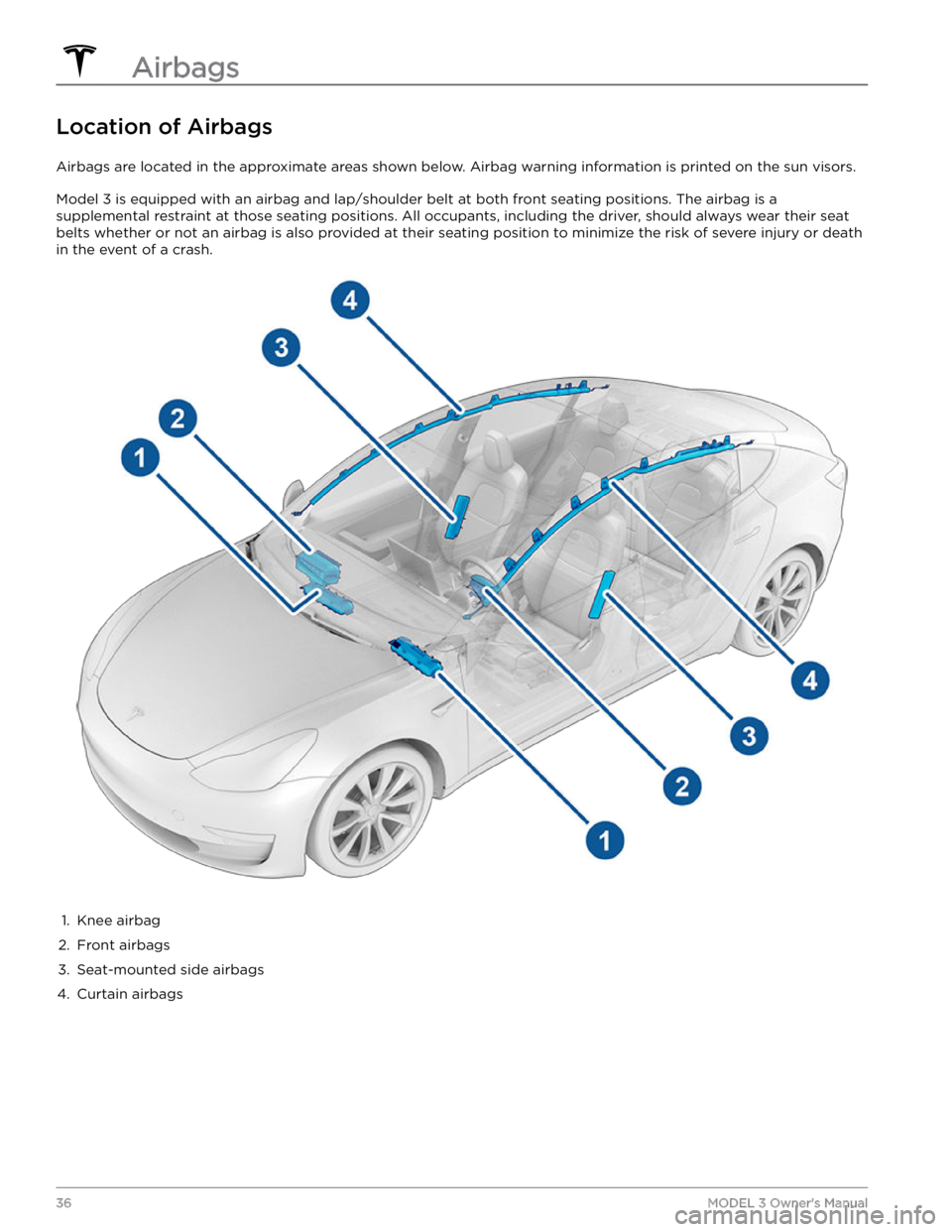 TESLA MODEL 3 2022  Owner´s Manual Location of Airbags
Airbags are located in the approximate areas shown below. Airbag warning information is printed on the sun visors.
Model 3 is equipped with an airbag and lap/shoulder belt at both 