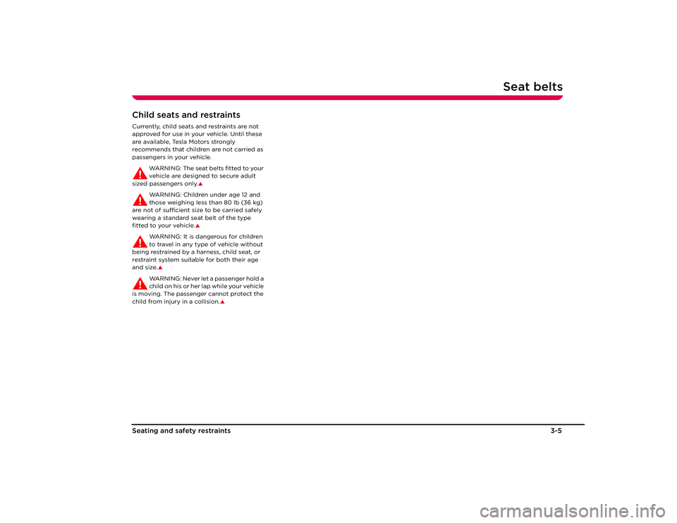 TESLA ROADSTER 2008  Owners Manual Seat belts
3-5
Seating and s afety restraints
Child seats and restraintsCurrently, child seats and restraints are not 
approved for use in your vehicle. Until these 
are available, Tesla Motors strong