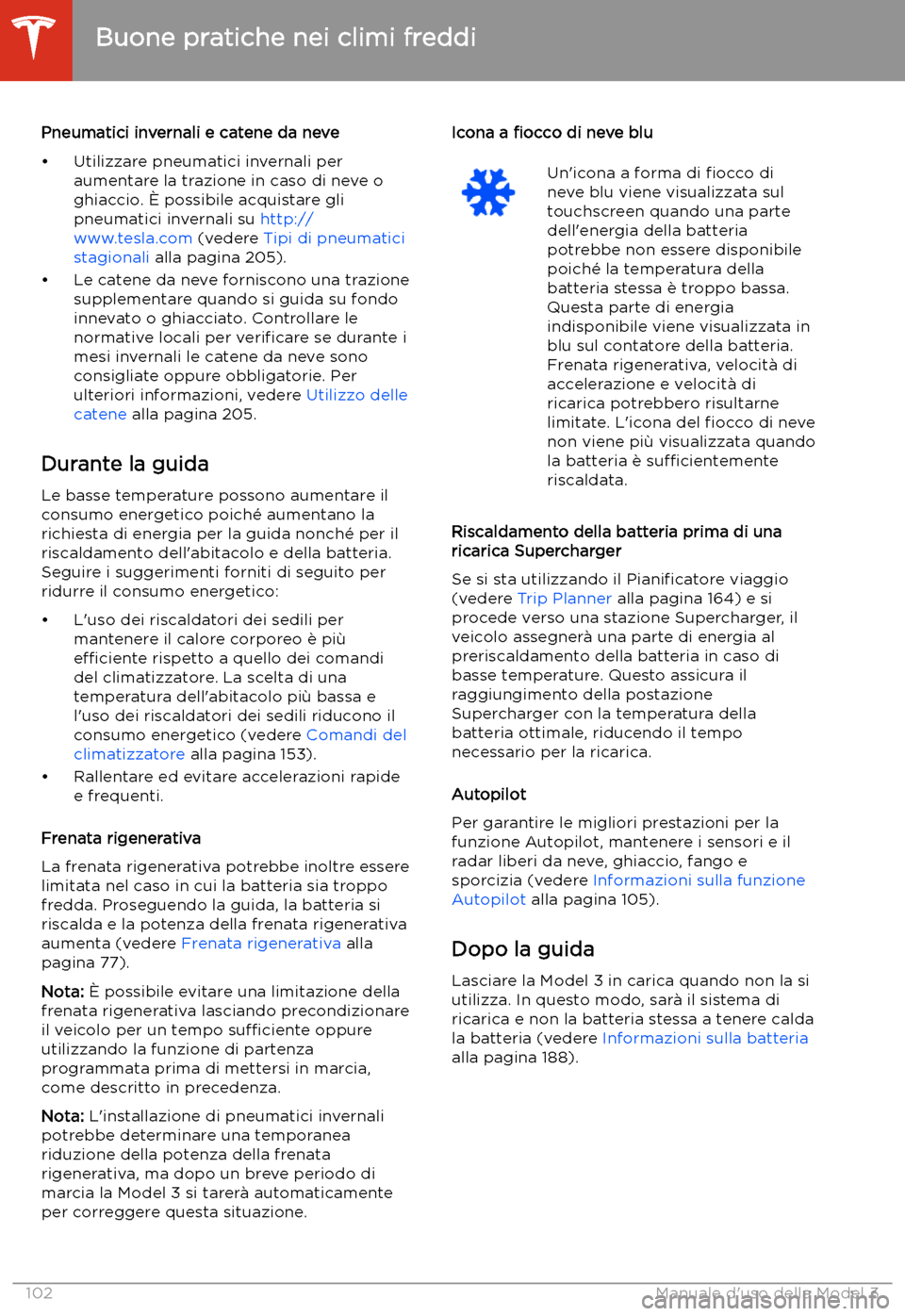 TESLA MODEL 3 2020  Manuale del proprietario (in Italian) Pneumatici invernali e catene da neve
