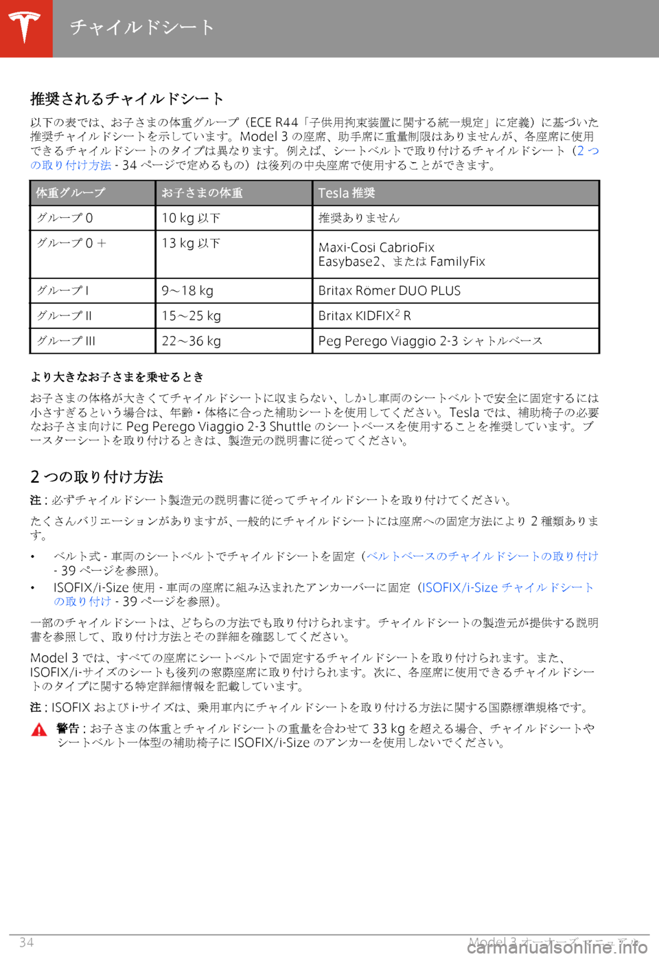 TESLA MODEL 3 2019  取扱説明書 (in Japanese)  N