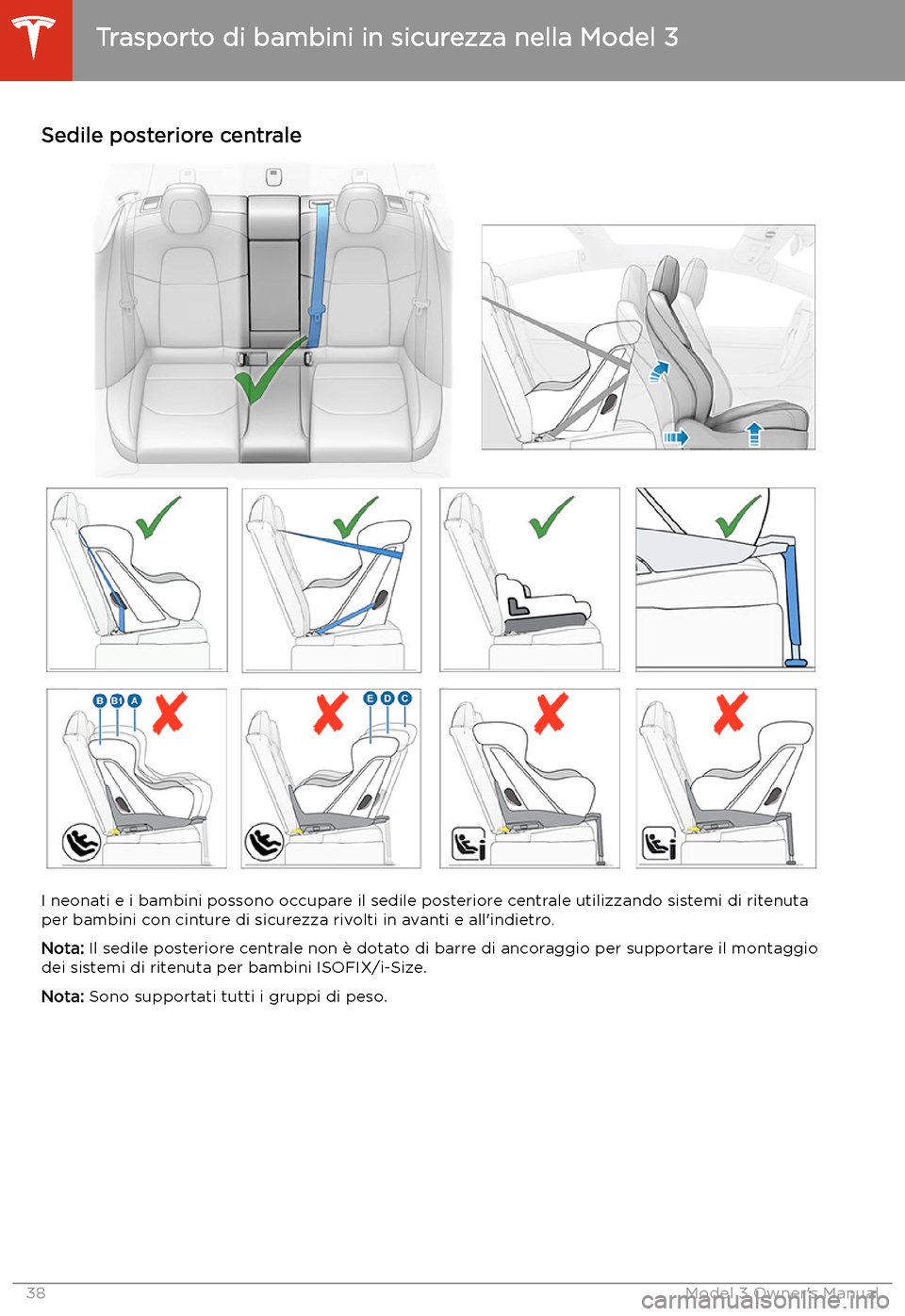 TESLA MODEL 3 2019  Manuale del proprietario (in Italian) Sedile posteriore centrale
I neonati e i bambini possono occupare il sedile posteriore centrale utilizzando sistemi di ritenuta
per bambini con cinture di sicurezza rivolti in avanti e all