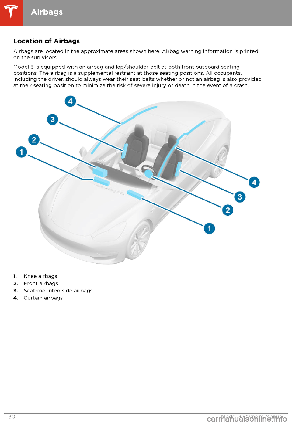 TESLA MODEL 3 2018 User Guide Location of AirbagsAirbags are located in the approximate areas shown here. Airbag warning information is printed
on the sun visors.
Model 3 is equipped with an airbag and lap/shoulder belt at both fr