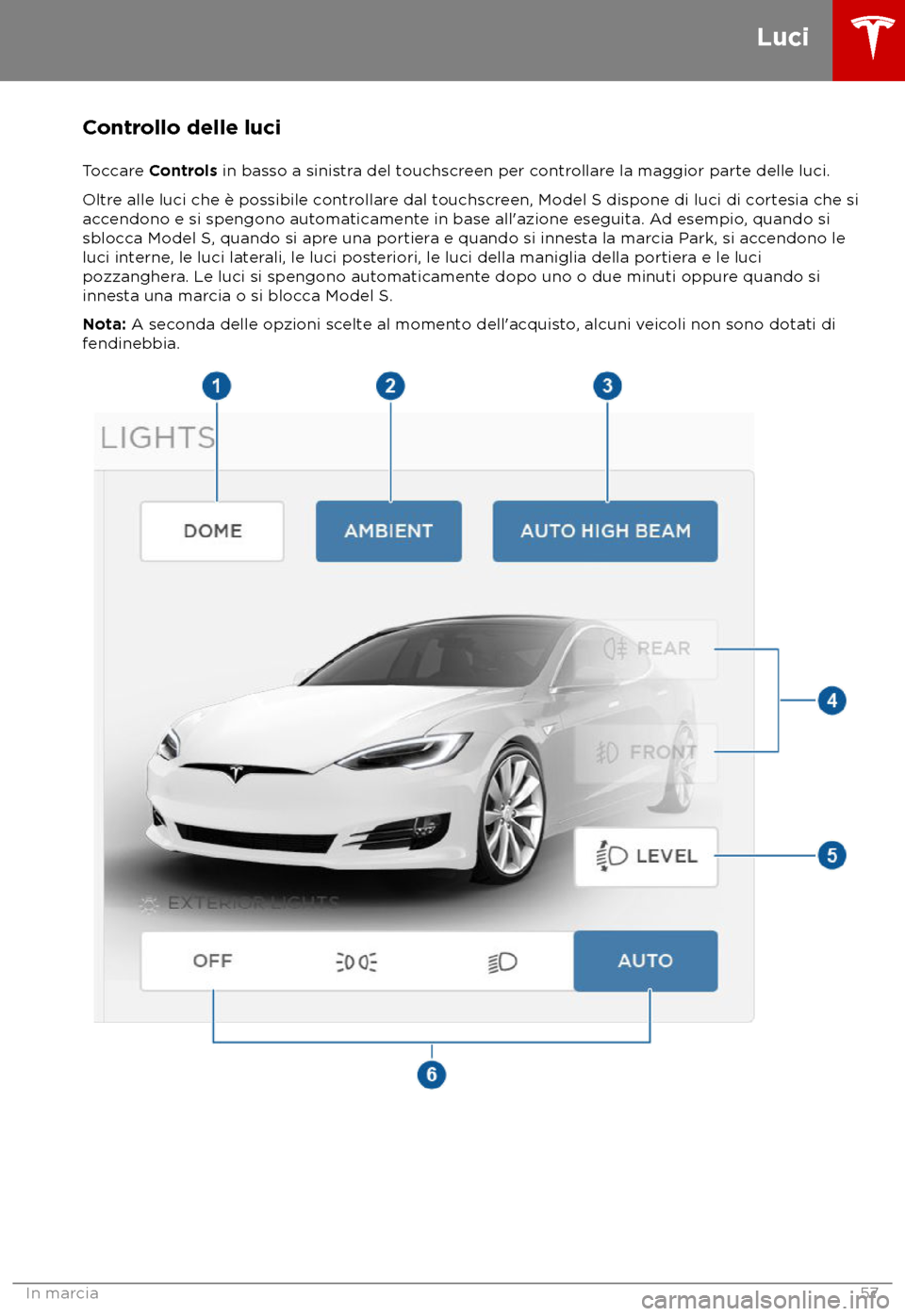 TESLA MODEL S 2018  Manuale del proprietario (in Italian) Controllo delle luci
T occare Controls in basso a sinistra del touchscreen per controllare la maggior parte delle luci.
Oltre alle luci che è possibile controllare dal touchscreen, Model S dispone di