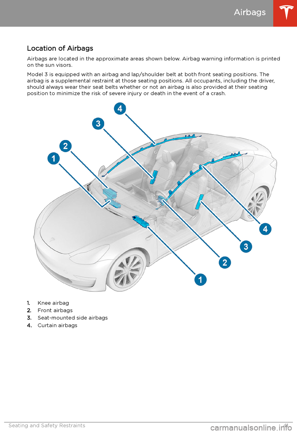 TESLA MODEL 3 2020  Owners Manuals Airbags
Location of Airbags Airbags are located in the approximate areas shown below. Airbag warning information is printed
on the sun visors.
Model 3 is equipped with an airbag and lap/shoulder belt 