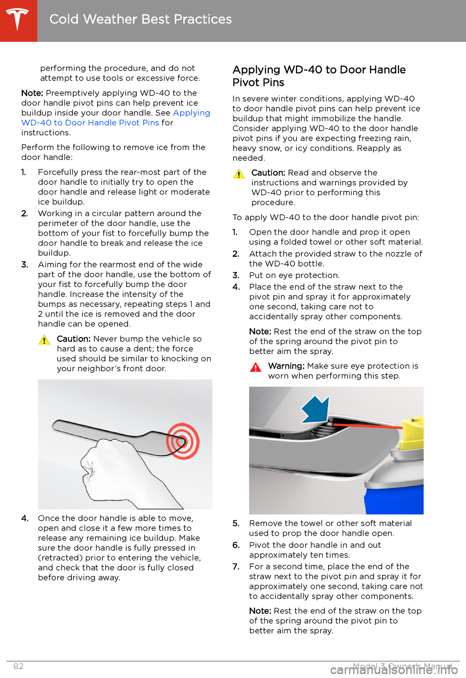 TESLA MODEL 3 2020  s Manual Online performing the procedure, and do not
attempt to use tools or excessive force.
Note:  Preemptively applying WD-40 to the
door handle pivot pins can help prevent ice buildup inside your door handle. See