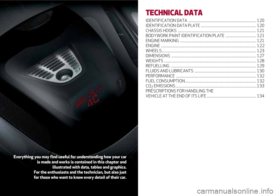 Alfa Romeo 4C 2021  Instructieboek (in Dutch) TECHNICAL DATA
IDENTIFICATION DATA  ..................................................................................... 120
IDENTIFICATION DATA PLATE ................................................